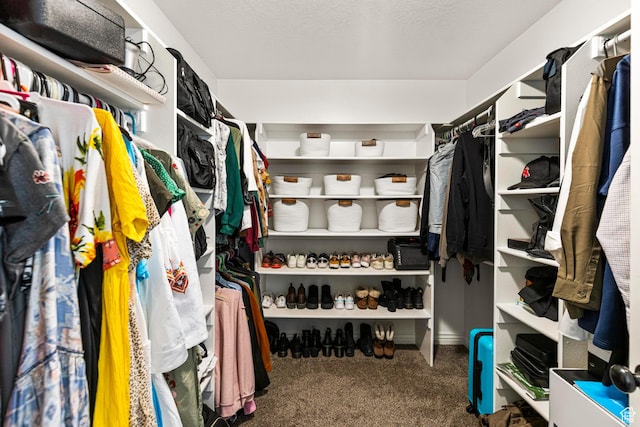 841 N Hale St Unit 1, Grantsville, UT 84029 - walk in closet with carpet floors