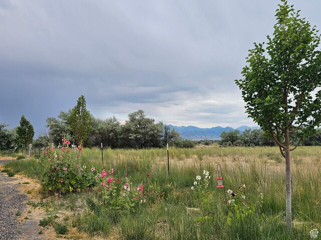841 N Hale St Unit 1, Grantsville, UT 84029 - photo 53