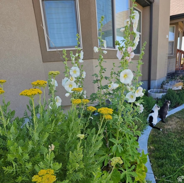 841 N Hale St Unit 1, Grantsville, UT 84029 - exterior details featuring stucco siding