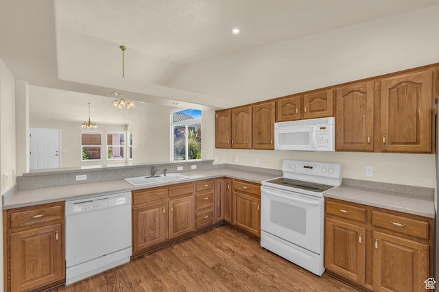 kitchen featuring white appliances, a sink, a chandelier, light wood finished floors, and brown cabinets