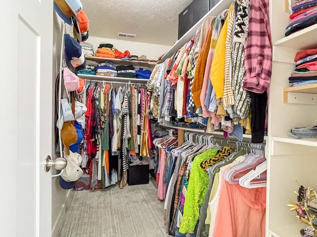 446 E Rue De Paris, Vineyard, UT 84059 - spacious closet with carpet flooring and visible vents