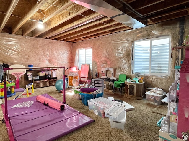 446 E Rue De Paris, Vineyard, UT 84059 - below grade area featuring carpet flooring