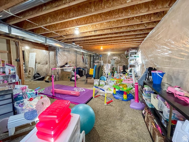 446 E Rue De Paris, Vineyard, UT 84059 - view of unfinished below grade area