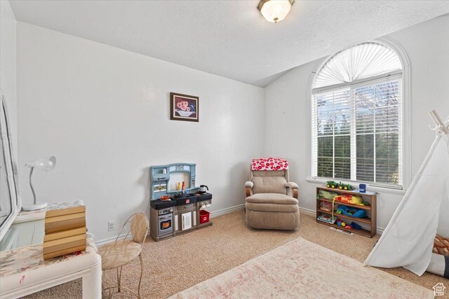 7217 W Mccuiston Ave S, Herriman, UT 84096 - playroom with baseboards, carpet, and a textured ceiling