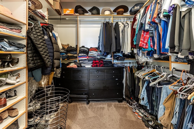 2503 W State Road 32, Peoa, UT 84061 - walk in closet featuring carpet