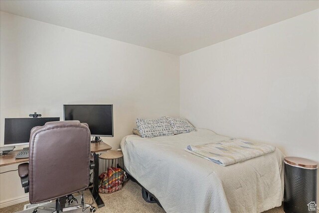 6403 W Muzzle Loader Dr, Herriman, UT 84096 - view of carpeted bedroom