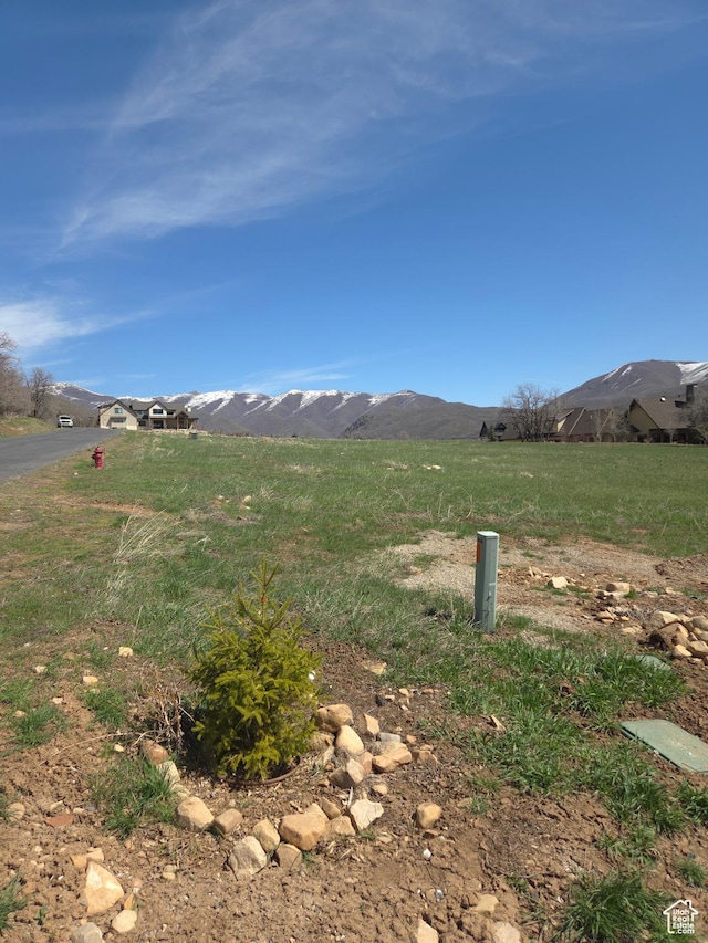 Unit 14, Springville, UT 84663