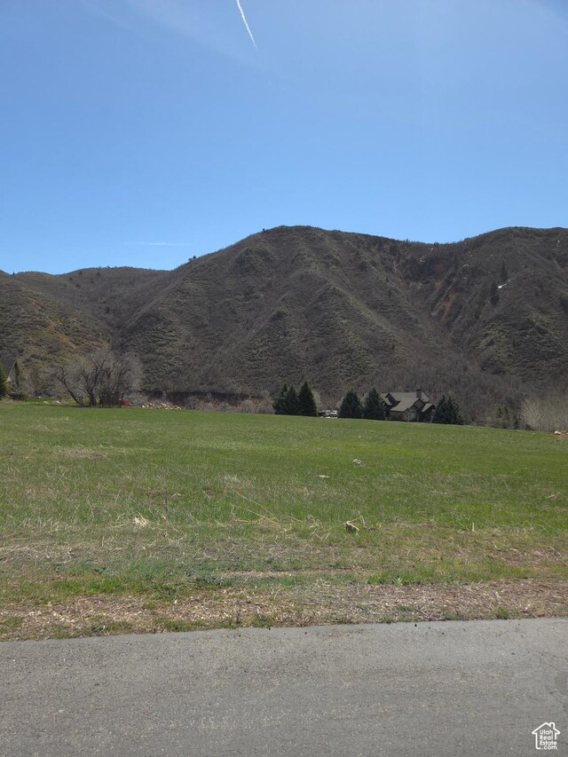 Unit 14, Springville, UT 84663