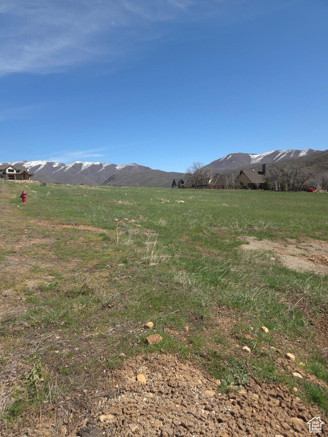 Unit 14, Springville, UT 84663