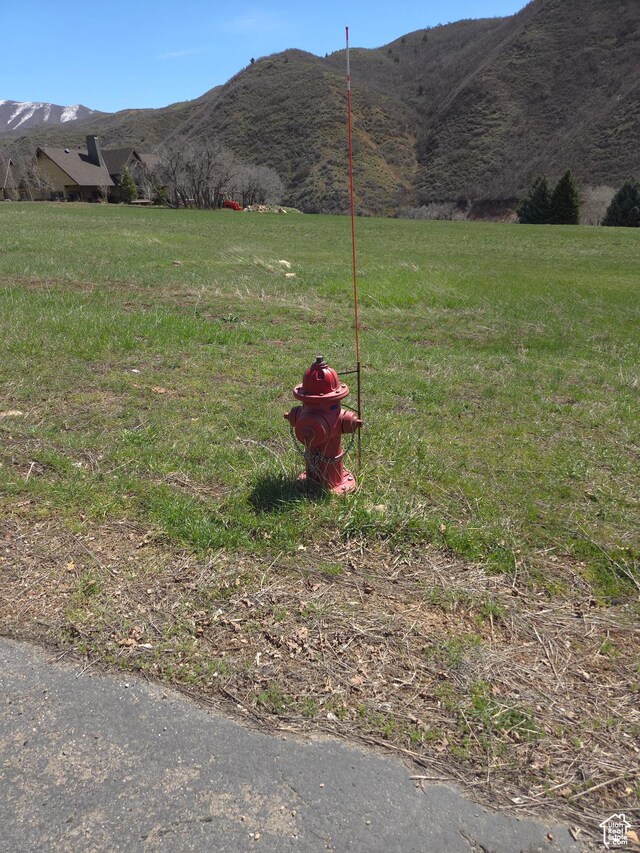 Unit 14, Springville, UT 84663
