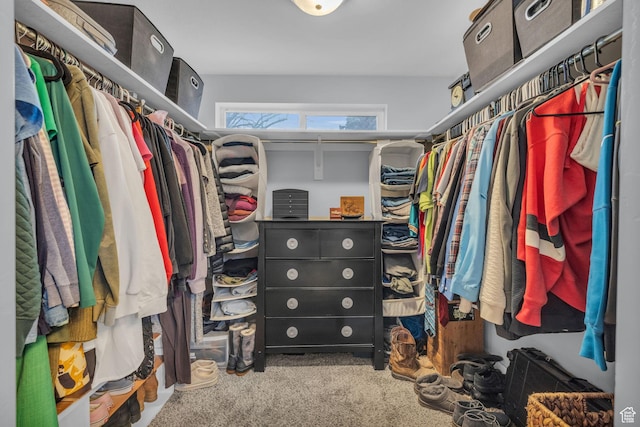 175 E Millerberg Dr S, Sandy, UT 84070 - spacious closet with carpet floors