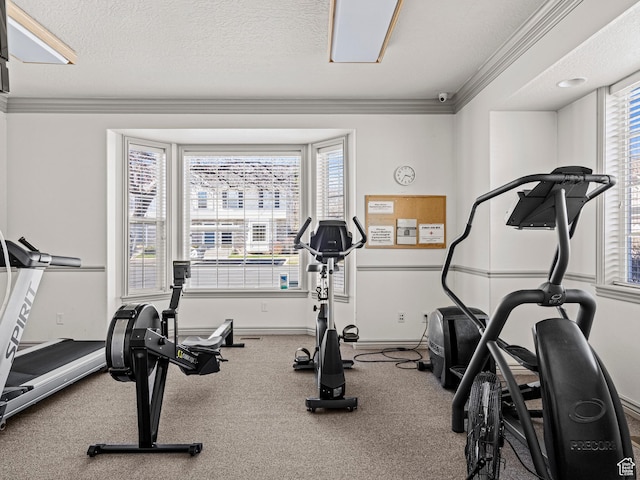 932 Independence Ave, Provo, UT 84604 - workout area with baseboards, ornamental molding, and a textured ceiling