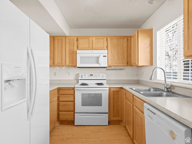 932 Independence Ave, Provo, UT 84604 - kitchen featuring light wood finished floors, a sink, light countertops, and white appliances