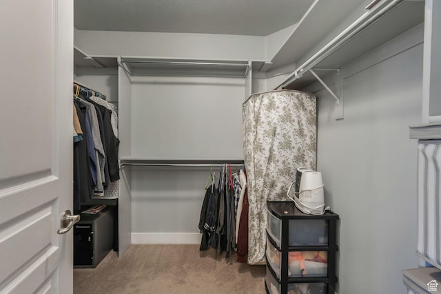 11773 S Twin Pines Ct, Draper, UT 84020 - walk in closet with carpet floors