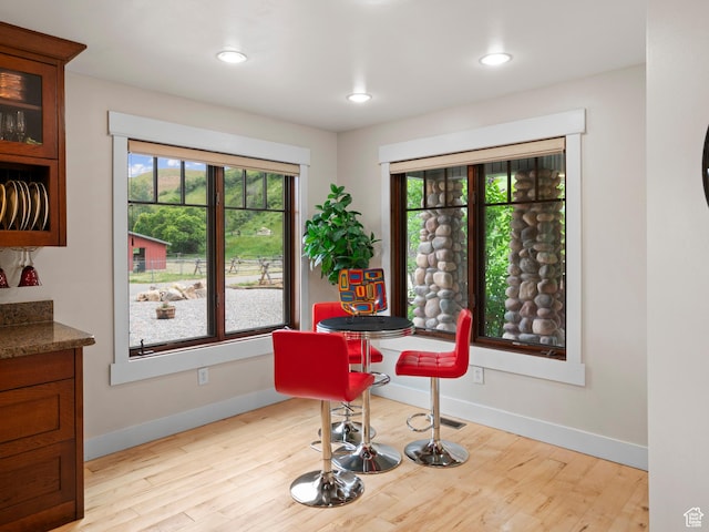 dining room with light wood-type flooring, baseboards, and a healthy amount of sunlight