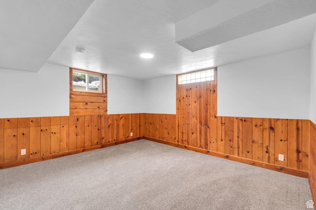 below grade area with wainscoting, wooden walls, carpet, and a textured ceiling