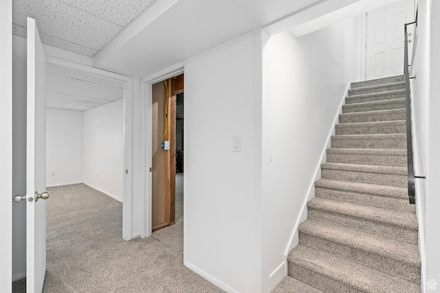 252 W Durfee St, Grantsville, UT 84029 - staircase with a drop ceiling, carpet flooring, and baseboards