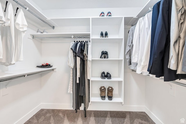 9844 N Faust Station Dr W, Eagle Mountain, UT 84005 - spacious closet featuring carpet floors