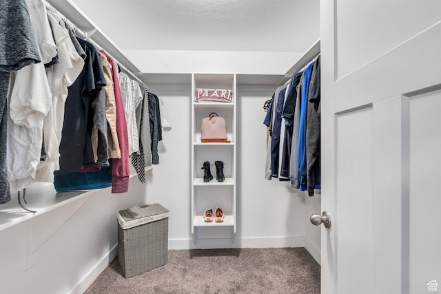 9844 N Faust Station Dr W, Eagle Mountain, UT 84005 - walk in closet featuring carpet floors
