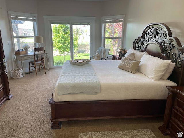 958 S Bridgecreek Ln, Layton, UT 84041 - bedroom featuring carpet flooring and multiple windows