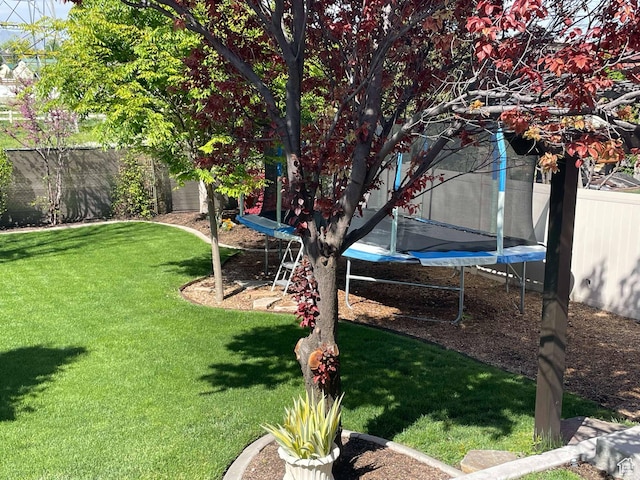 958 S Bridgecreek Ln, Layton, UT 84041 - view of yard with a fenced backyard and a trampoline
