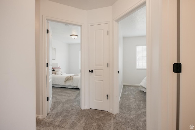 352 S 2000 E, Spanish Fork, UT 84660 - corridor featuring carpet and baseboards