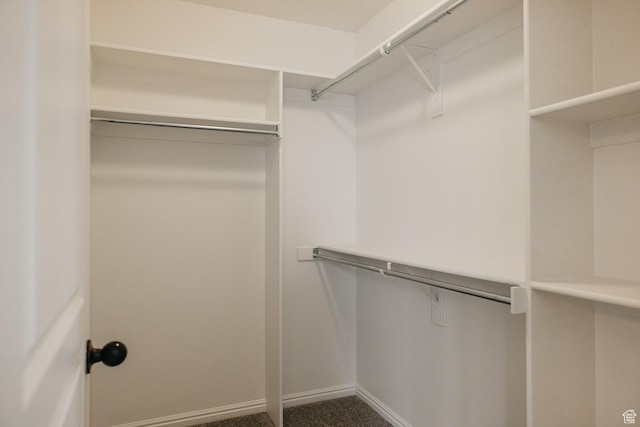 352 S 2000 E, Spanish Fork, UT 84660 - spacious closet featuring dark colored carpet