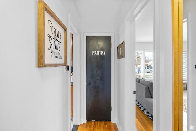 hallway with wood finished floors