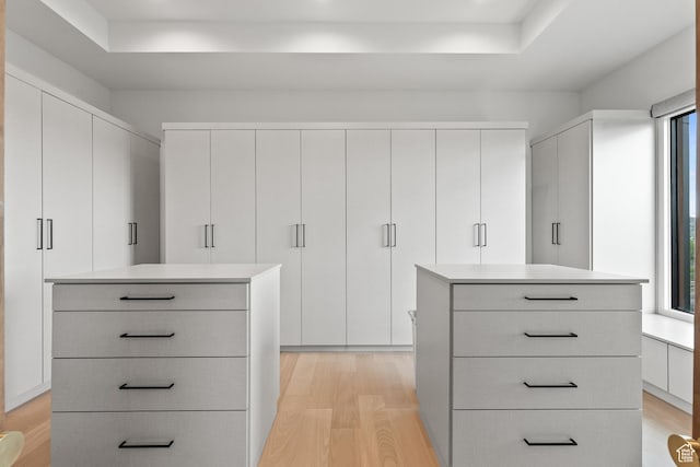 7290 Foxglove Ct, Park City, UT 84098 - walk in closet featuring a tray ceiling and light wood-style floors