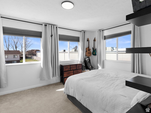 1929 W 680 N, Pleasant Grove, UT 84062 - bedroom with carpet and baseboards