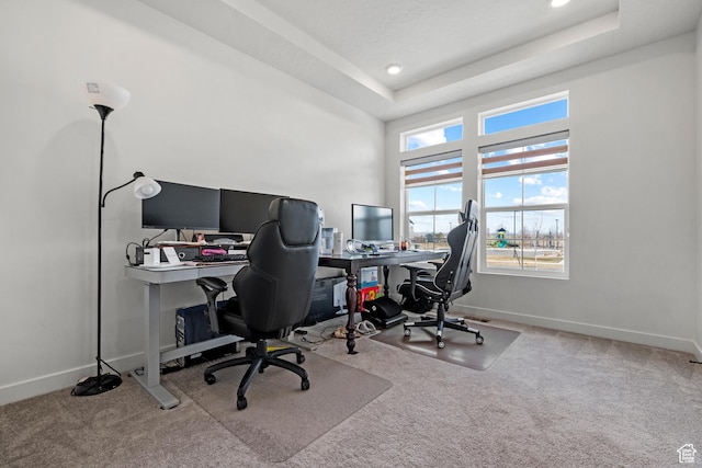 217 S Buckhorn Bath Ave W, Saratoga Springs, UT 84045 - office featuring a tray ceiling, baseboards, and carpet