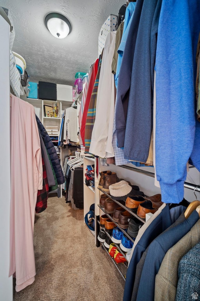 28 E 1400 N, Mapleton, UT 84664 - walk in closet featuring carpet floors