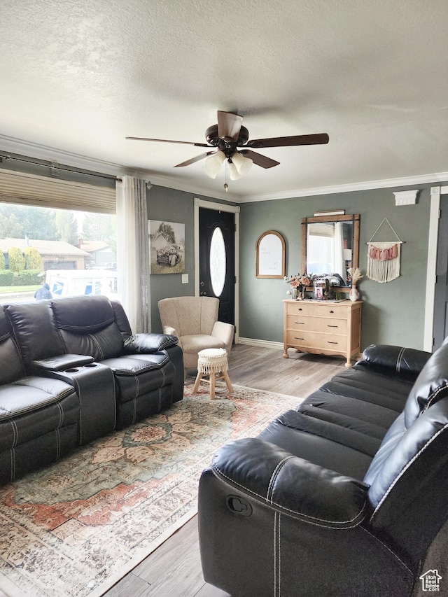 living room with crown molding, light wood-style floors, ceiling fan, and a textured ceiling