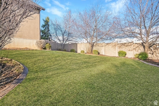 view of yard featuring a fenced backyard
