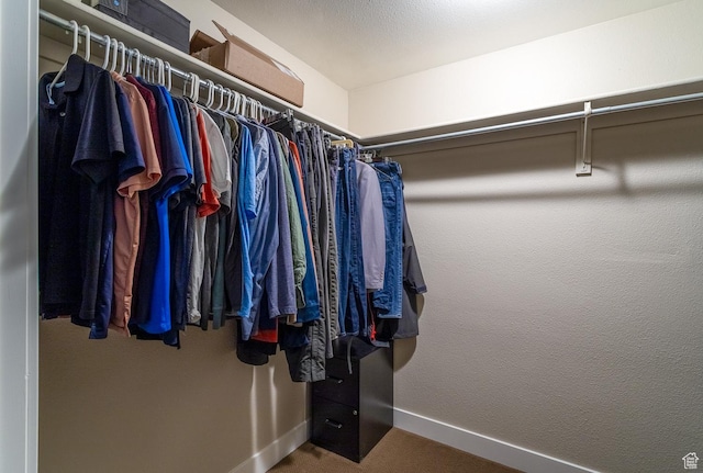 2164 S Alison Row, St George, UT 84790 - walk in closet featuring carpet flooring