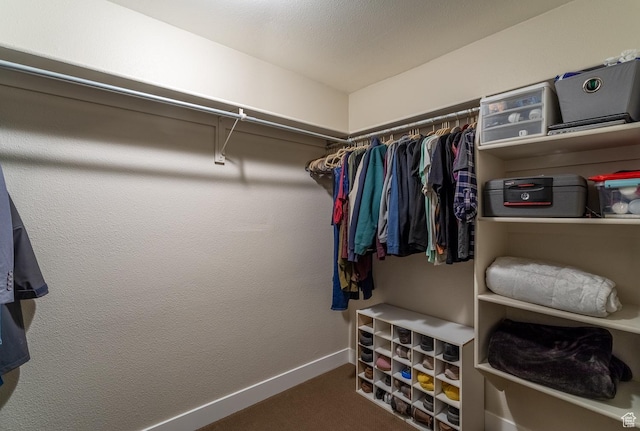 2164 S Alison Row, St George, UT 84790 - spacious closet with carpet flooring