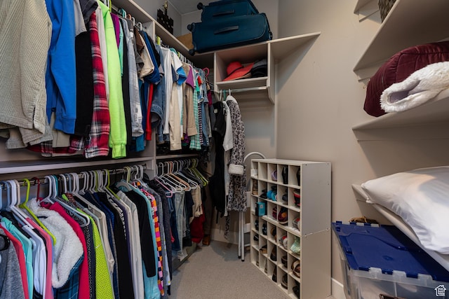 484 E Mohawk Dr, Kanab, UT 84741 - spacious closet with carpet flooring