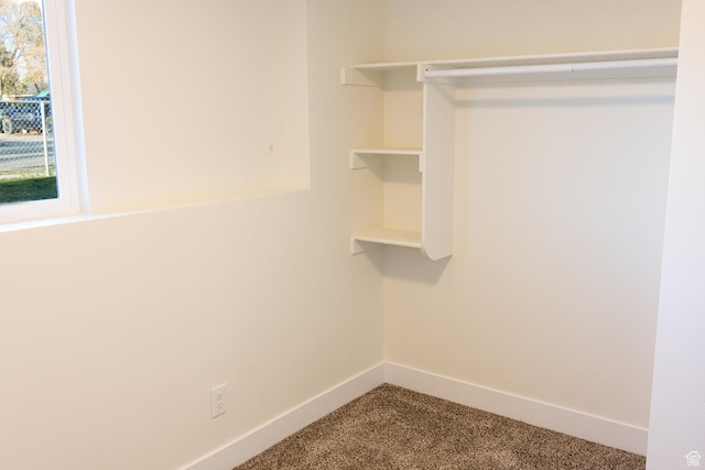 spacious closet with carpet