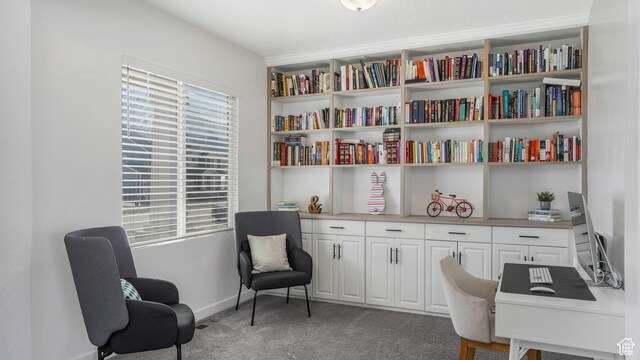 442 Doubleday St, Mapleton, UT 84664 - office area with baseboards and light colored carpet