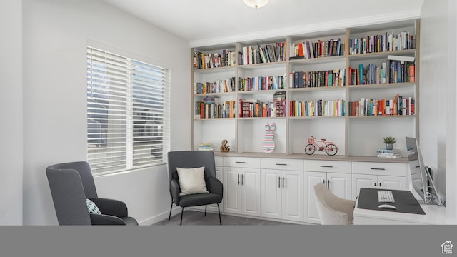 442 Doubleday St, Mapleton, UT 84664 - sitting room featuring baseboards and carpet floors