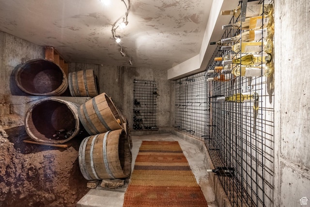 5956 N Triple Crown Trl, Oakley, UT 84055 - view of wine cellar