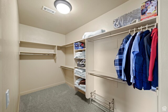 1041 E Silver Shadows Dr, Washington, UT 84780 - walk in closet with carpet floors and visible vents