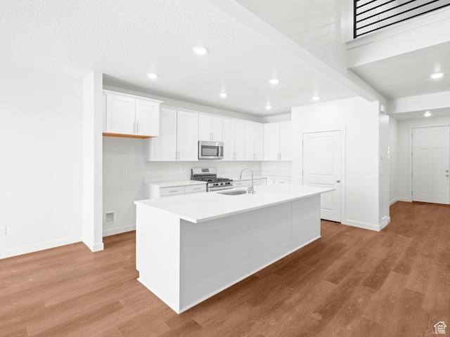 963 W Ruddy Clover Ln Unit 282, Saratoga Springs, UT 84045 - kitchen featuring light countertops, a sink, light wood-type flooring, and appliances with stainless steel finishes