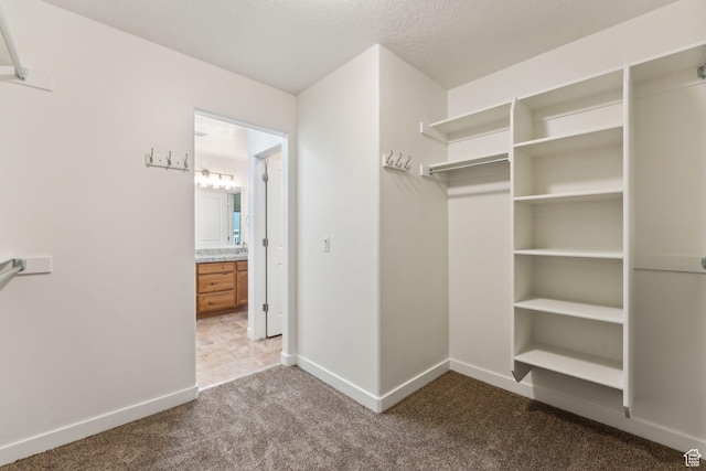 4 E Sterling Loop, Vineyard, UT 84059 - walk in closet featuring carpet