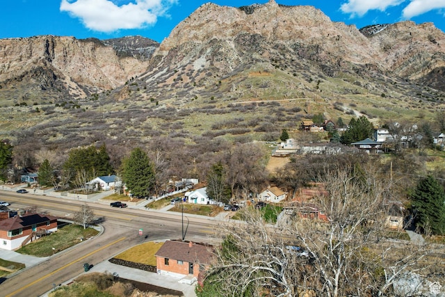 223 N Harrison Blvd, Ogden, UT 84404 - mountain view
