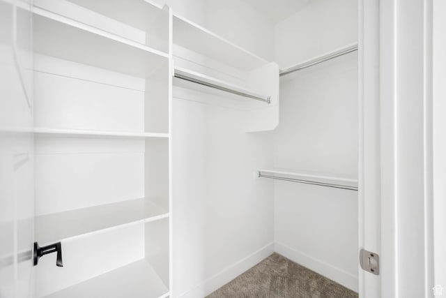 14913 S Thorntree Ln, Herriman, UT 84096 - spacious closet featuring carpet flooring