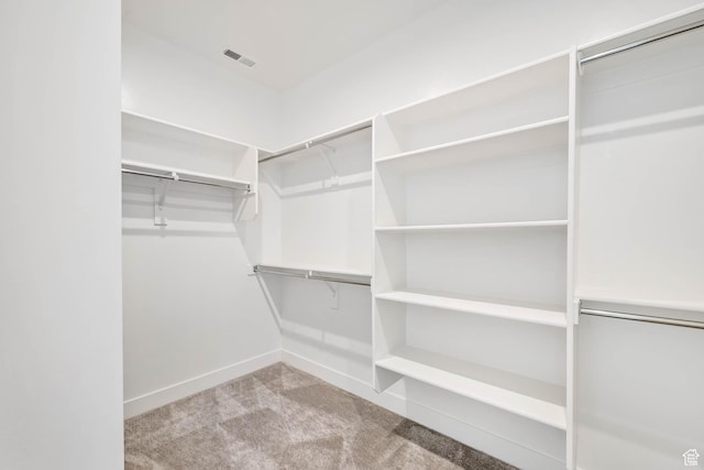 14913 S Thorntree Ln, Herriman, UT 84096 - walk in closet featuring carpet floors