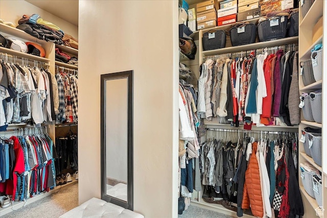 1049 S Meadow Lark Ln E, Huntsville, UT 84317 - spacious closet with carpet