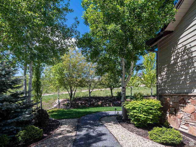1049 S Meadow Lark Ln E, Huntsville, UT 84317 - view of yard
