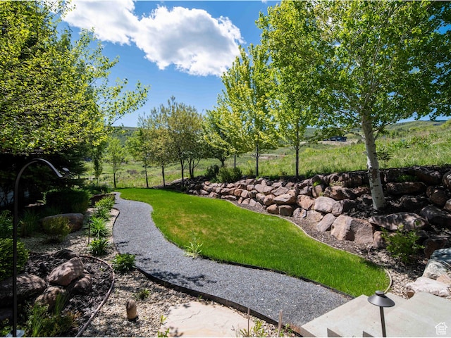 1049 S Meadow Lark Ln E, Huntsville, UT 84317 - view of grassy yard